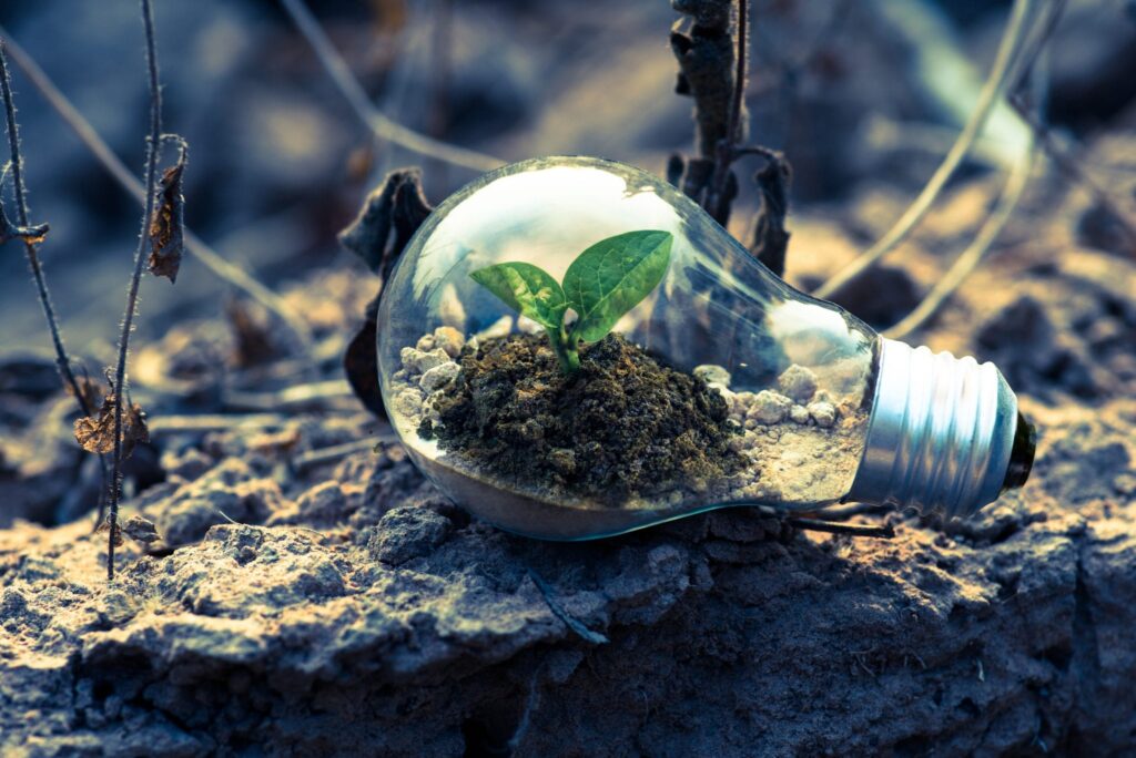 medio ambiente