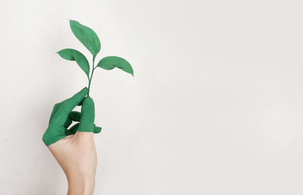hacer nuestra vivienda más ecológica
