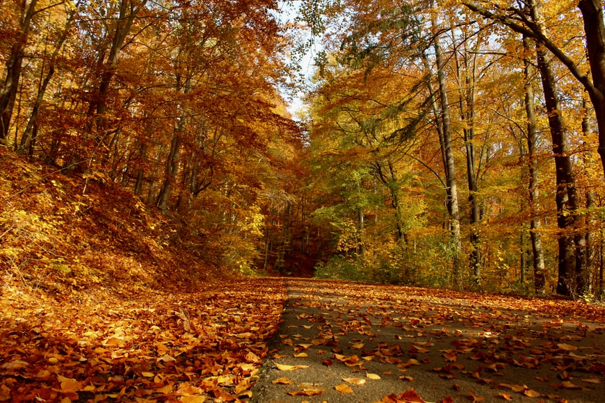 Otoño